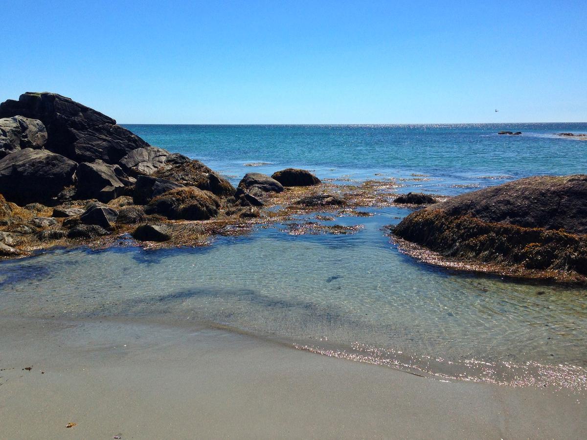 The East Wind Guesthouse Clark's Harbour 外观 照片